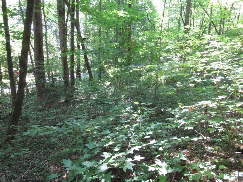 Picture 16