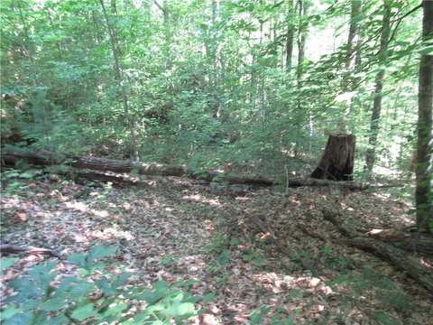 LAND - Pickens, SC