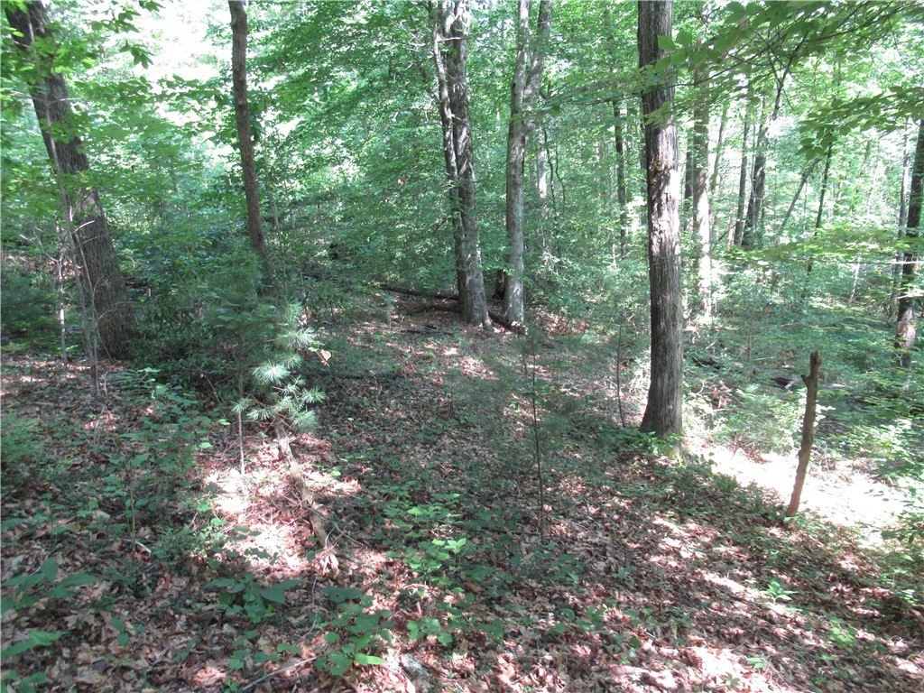Picture 20