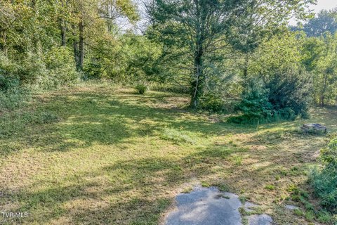 Land, Elizabethton, TN