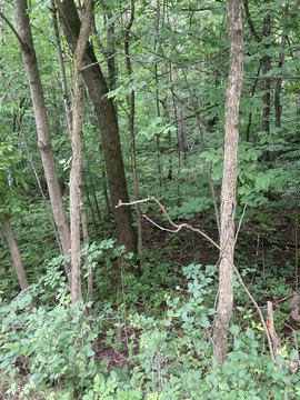 LAND - Malone, NY