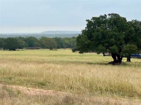 Rural Acreage with Mature Oaks
