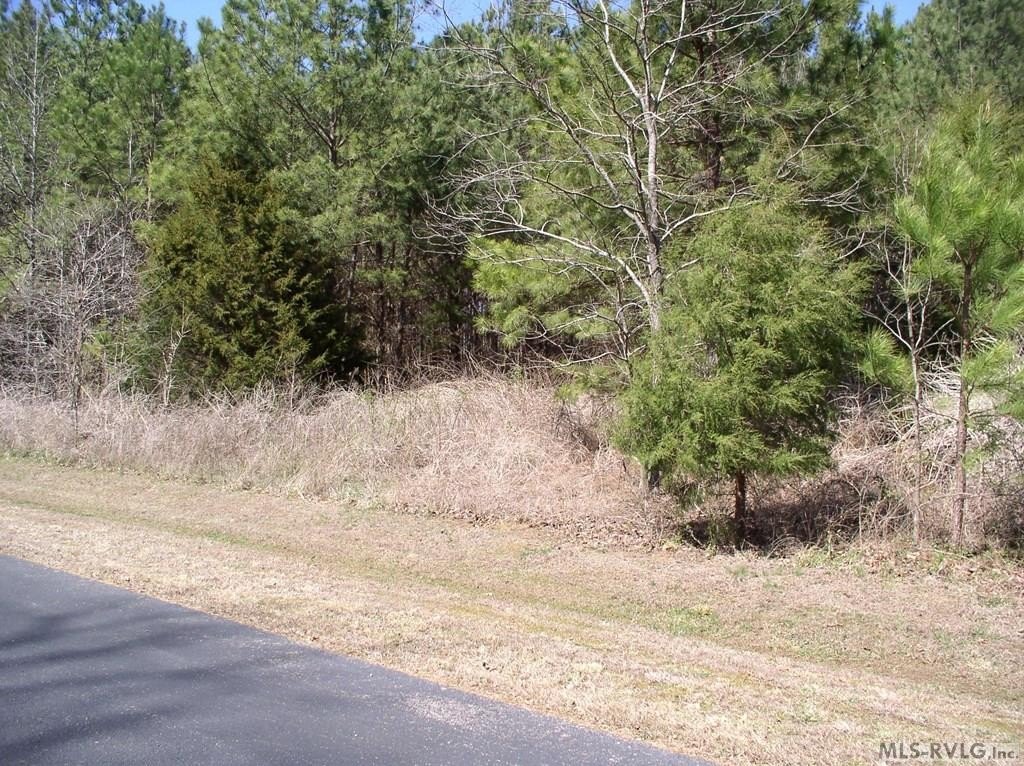 Picture 17