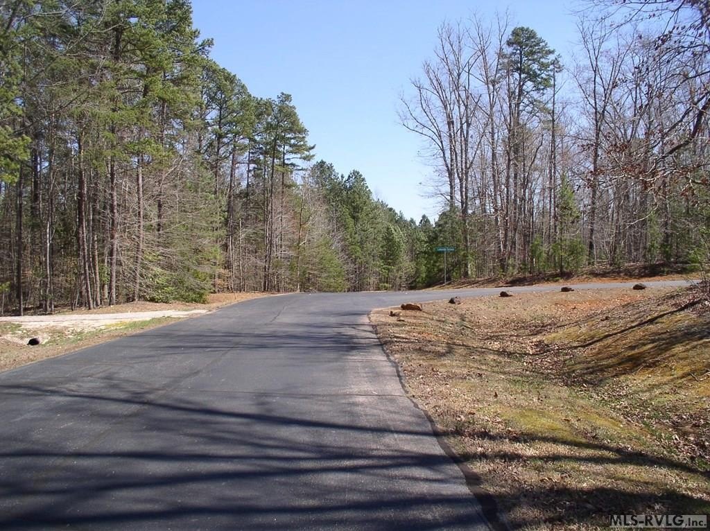 Picture 21
