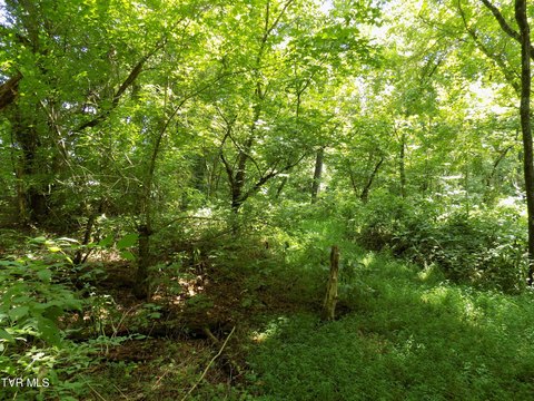 LAND - Rogersville, TN