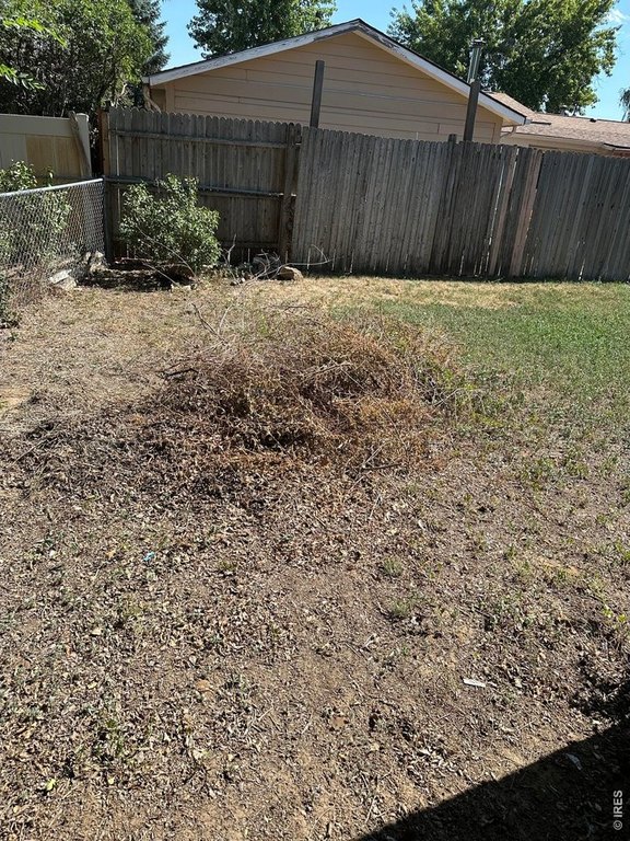 Picture 13