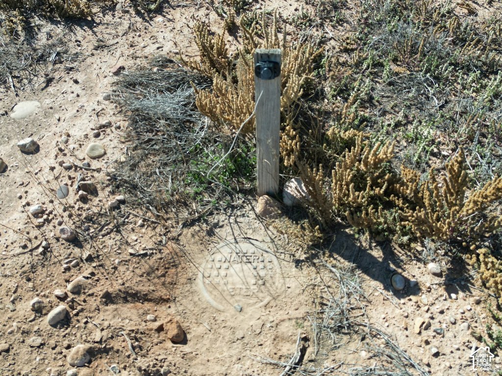 Picture 11