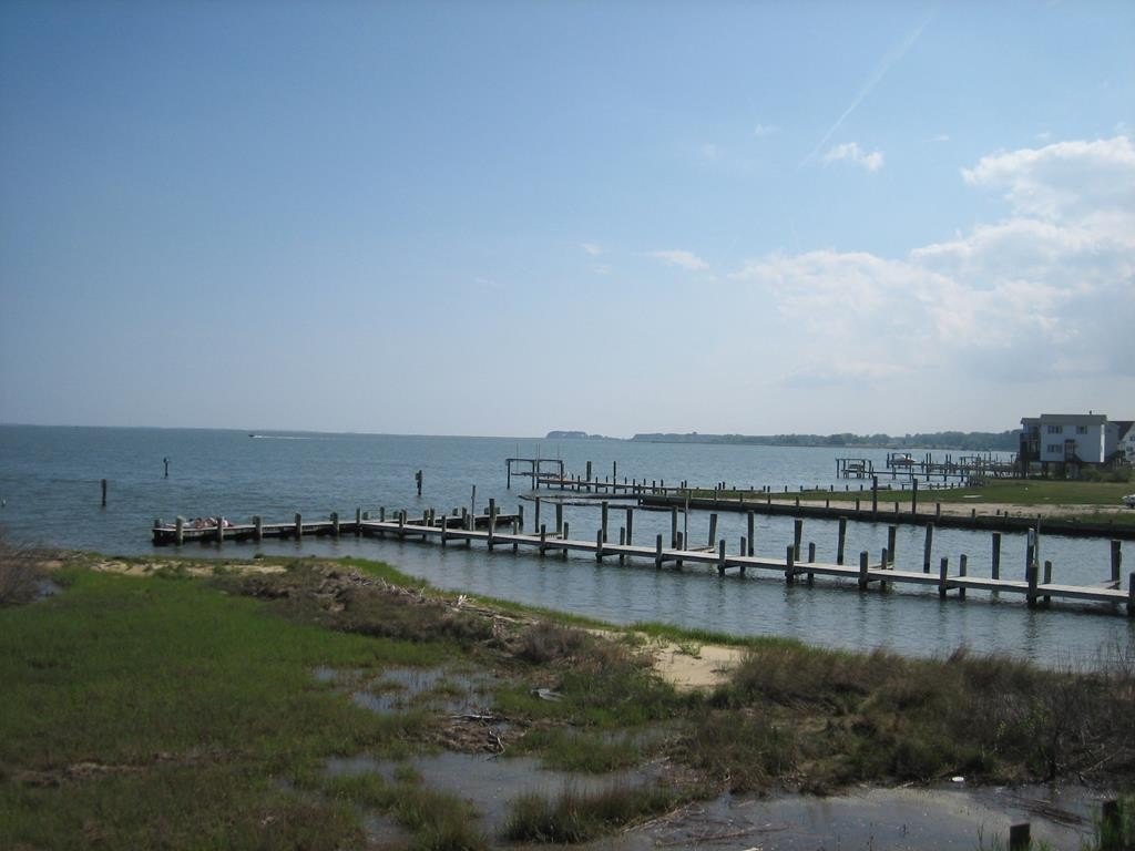 Picture 20