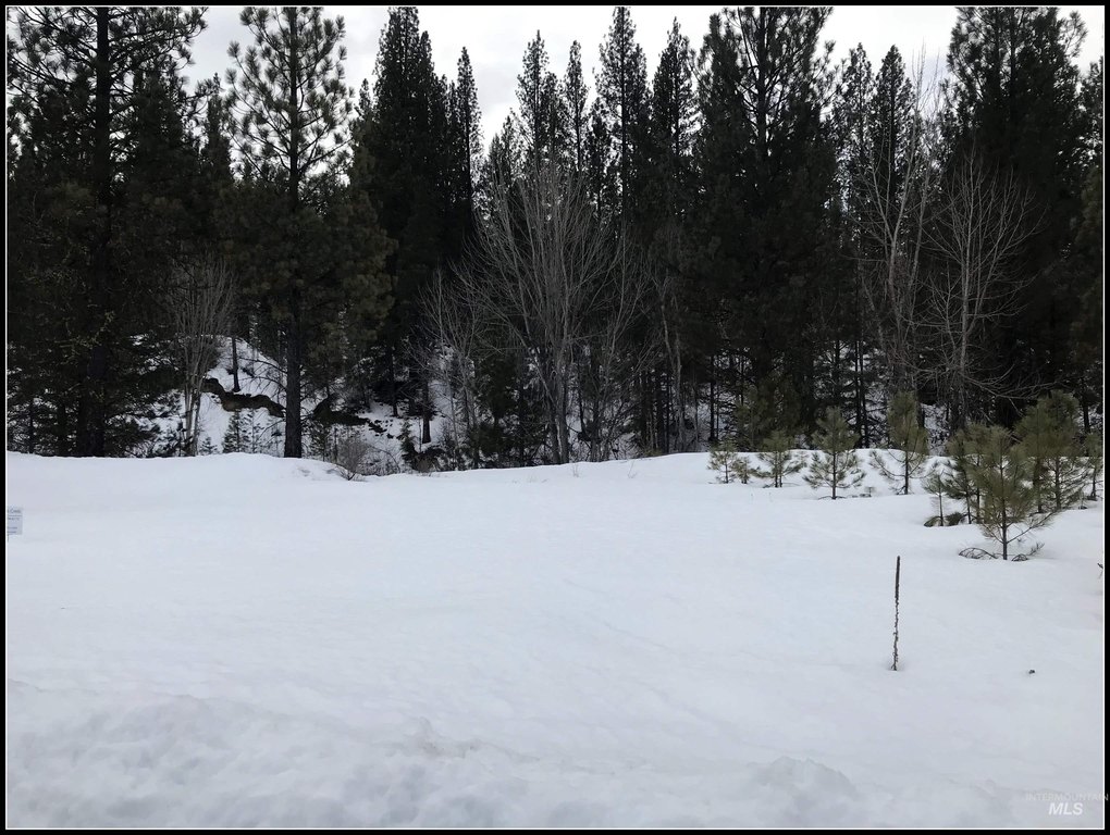 Picture 12