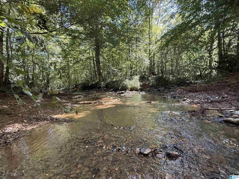 LAND/LOTS, HEFLIN, AL