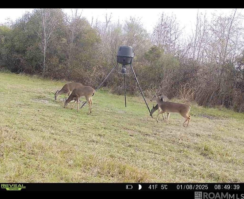 Picture 12