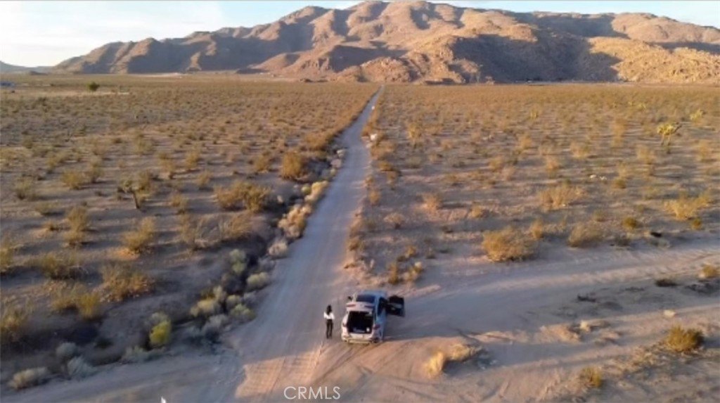 Picture 7