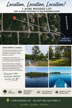 Vacant Land - Old Town, FL