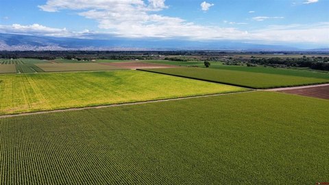 Irrigated Western Colorado Farm