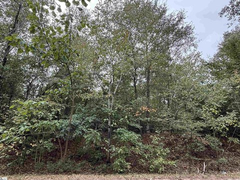 Lots/Land, Pelzer, SC