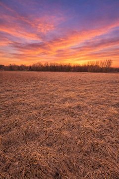Residential Land in Larkin Township