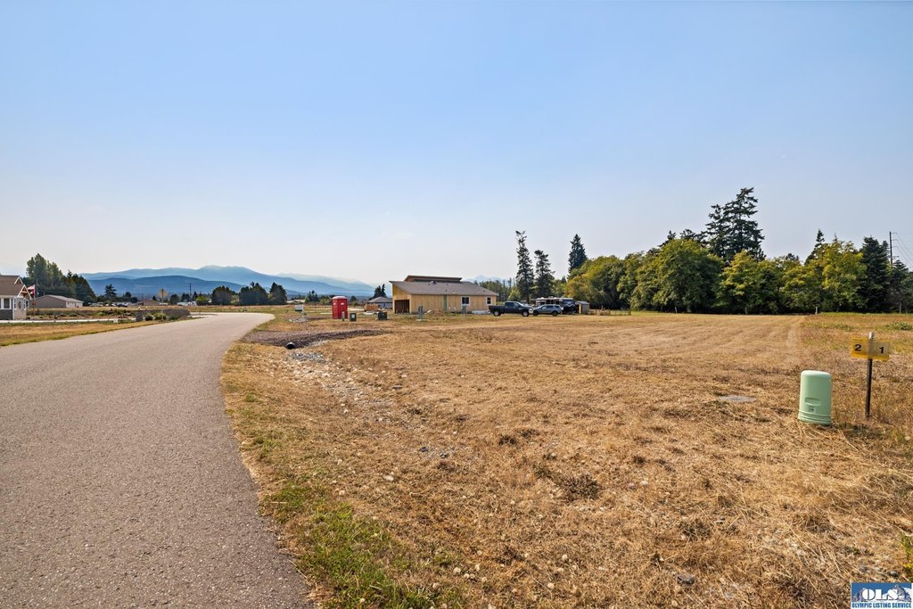 Picture 20
