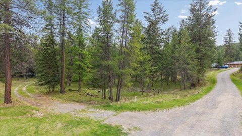 Wooded Residential Development Lot