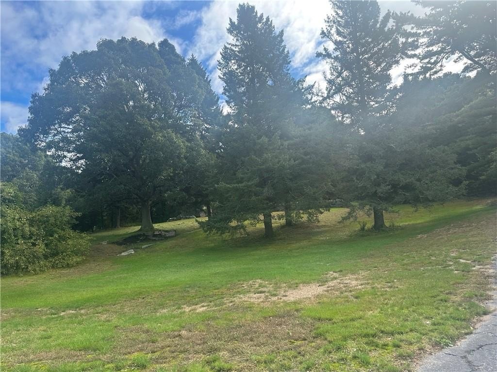 Picture 19