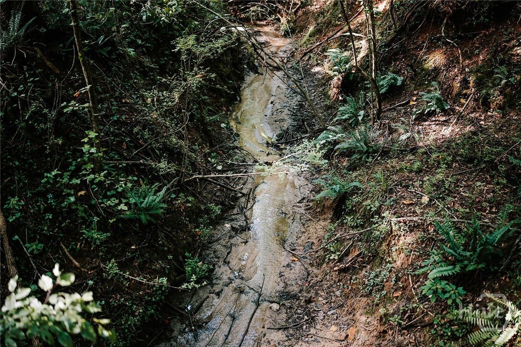 Picture 30