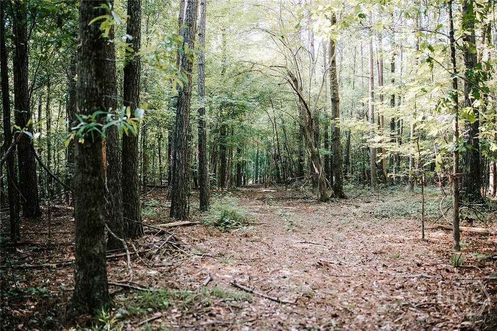 Picture 24