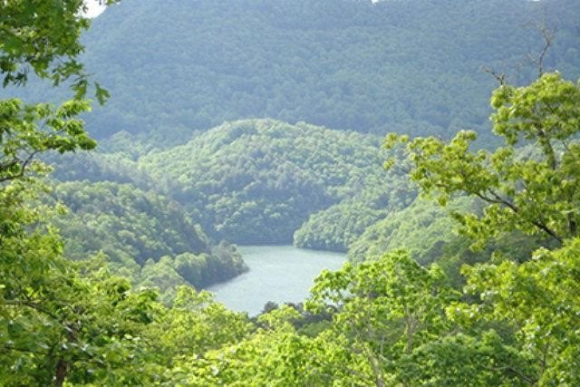 Land with Mountain and Lake Views