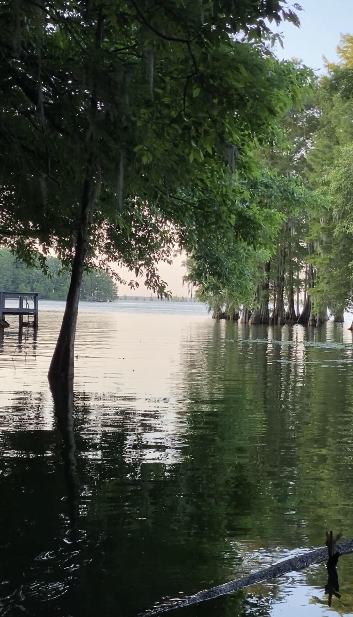 Lake Marion Waterfront Land Opportunity