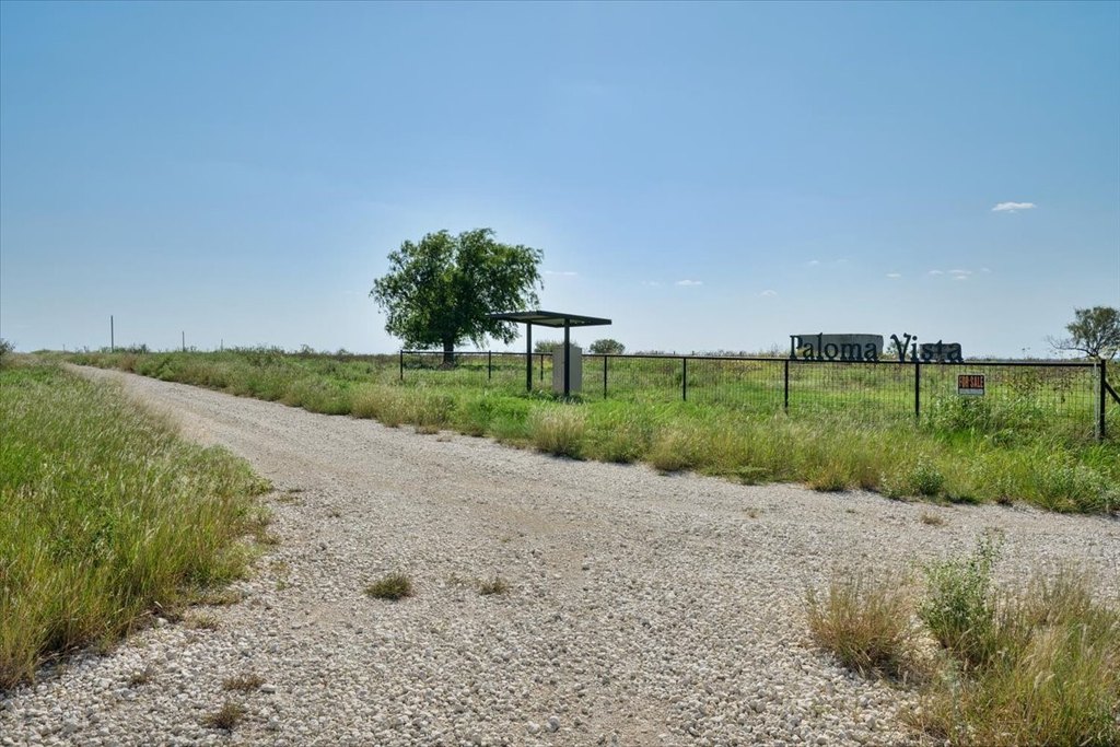 Picture 16