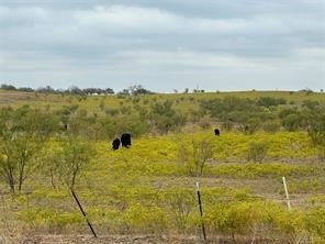 57.4 Acres Unimproved Land, Sanger