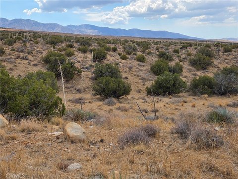 Llano Land with Desert Views