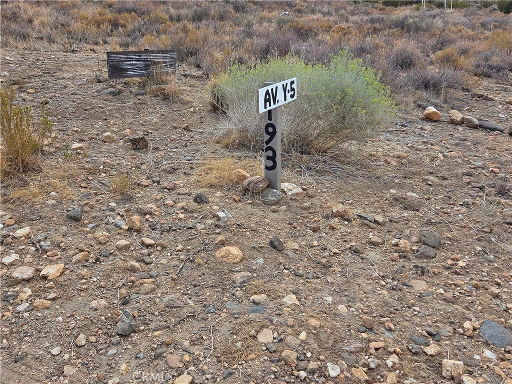 Picture 2