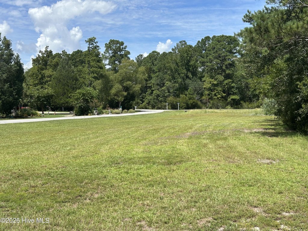 Picture 23