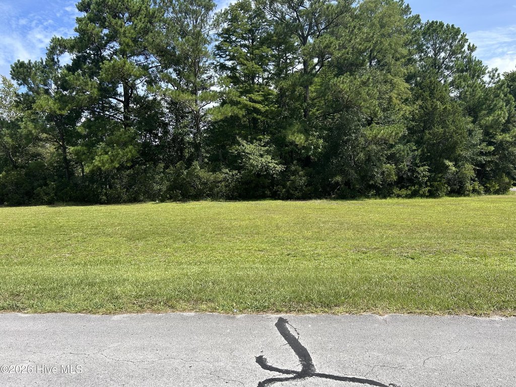 Picture 20