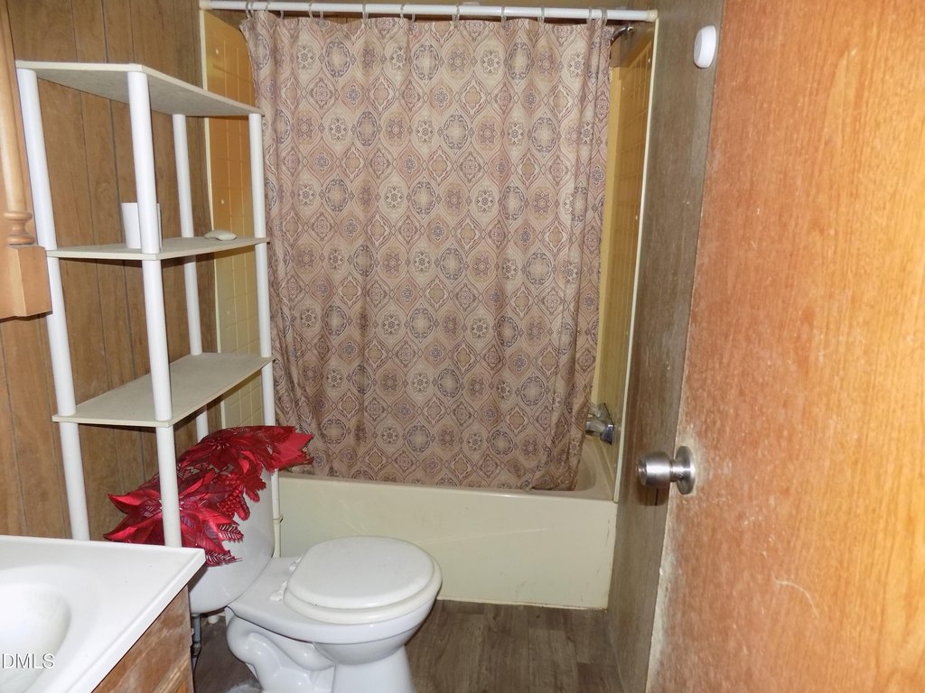 Picture 17