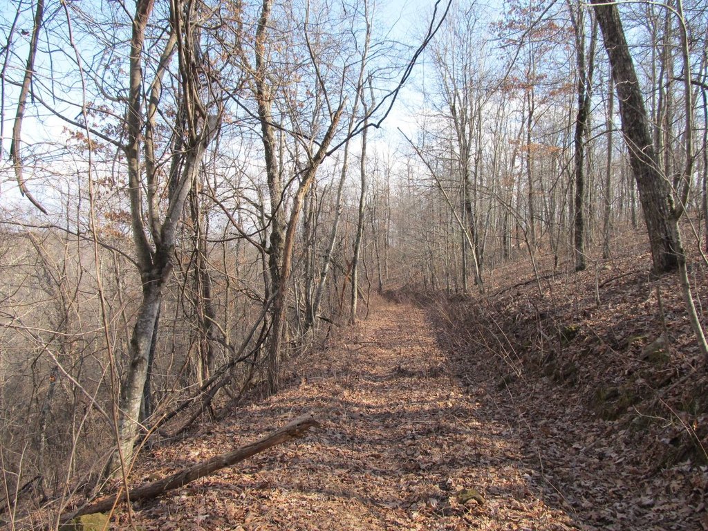 Picture 19