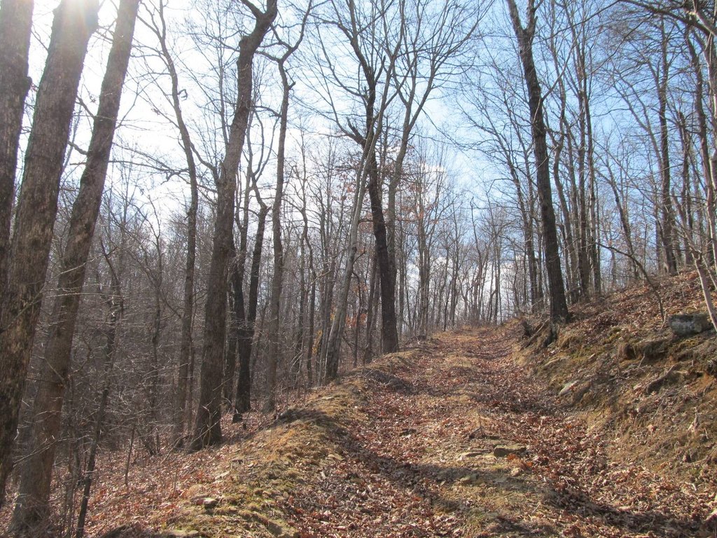 Picture 18