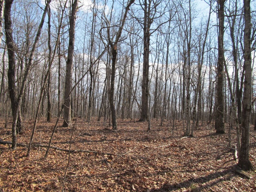 Picture 11