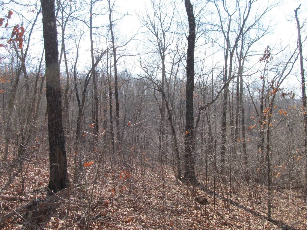 Picture 15