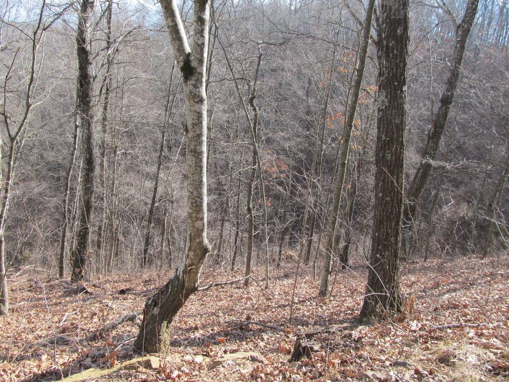Picture 17
