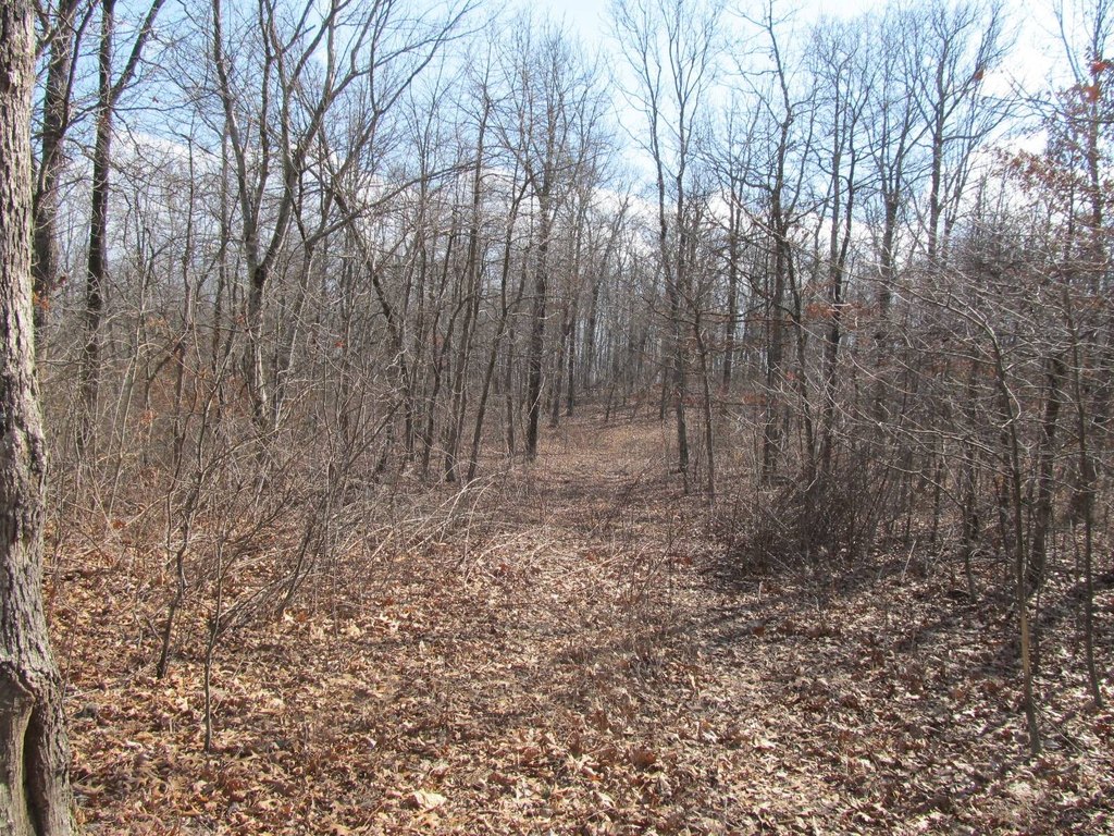 Picture 10
