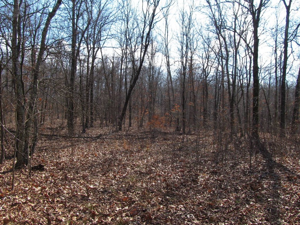 Picture 14