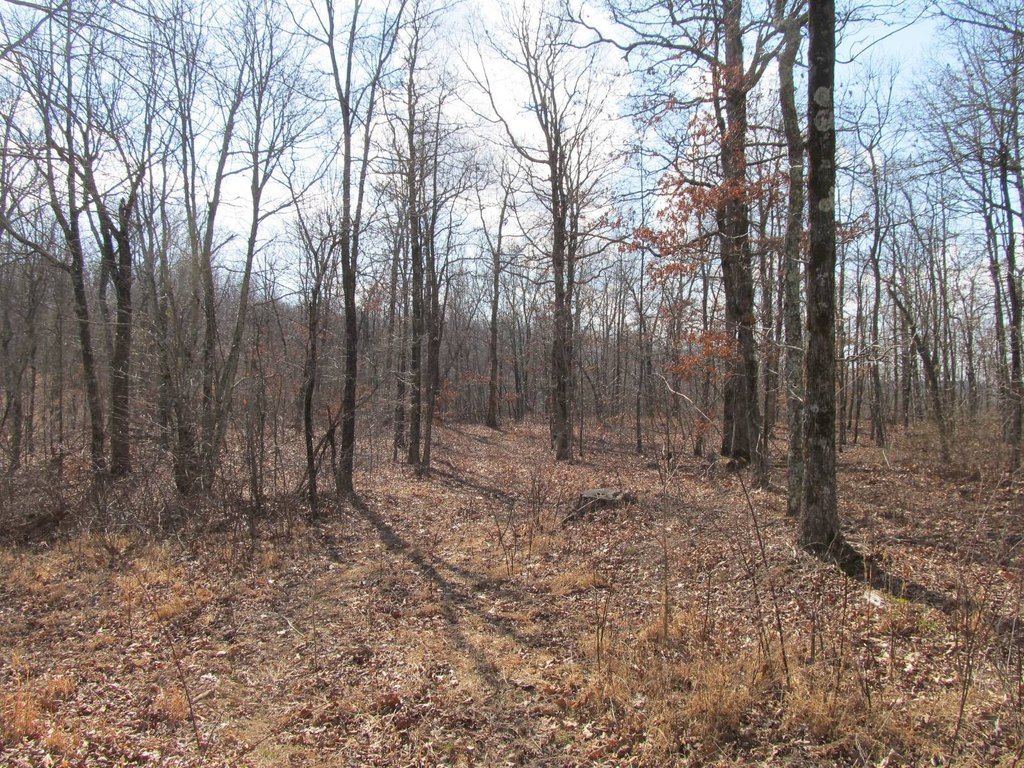 Picture 8