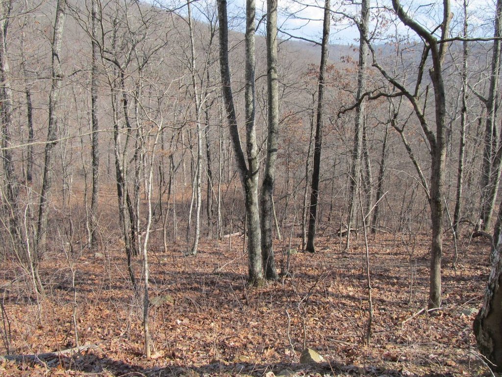 Picture 16