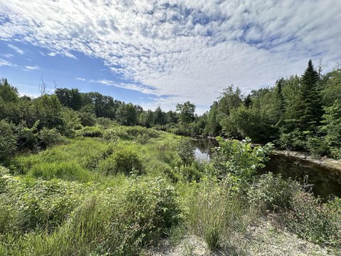 Land with Stream Frontage