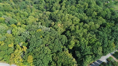 Land, Cookeville, TN