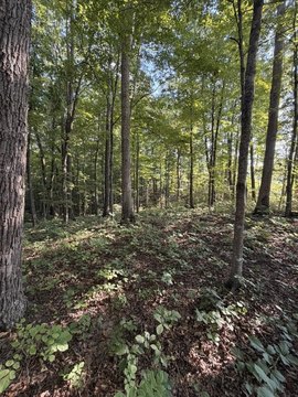 Land, Cookeville, TN