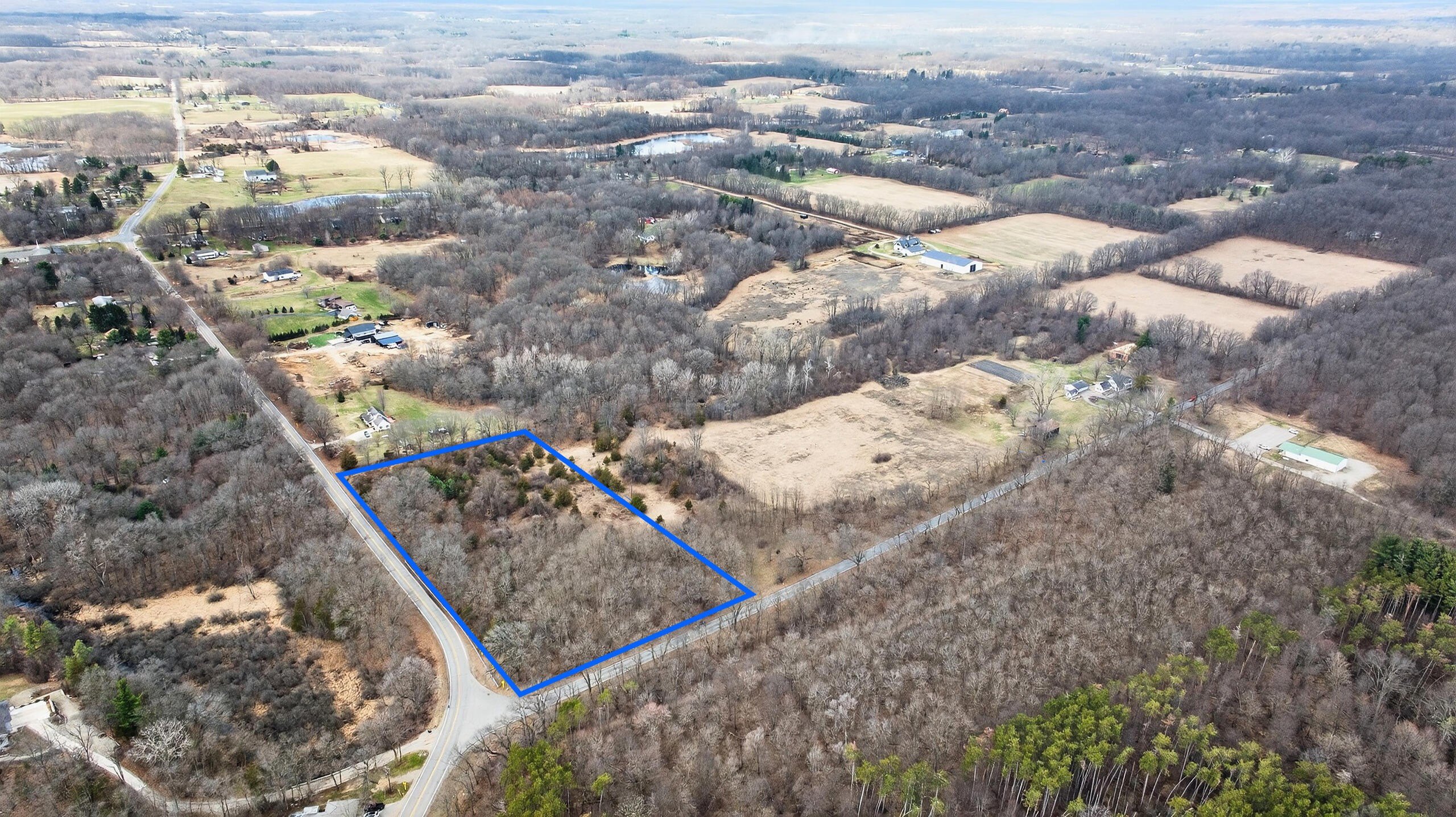 Clarklake Land Parcel with Pines