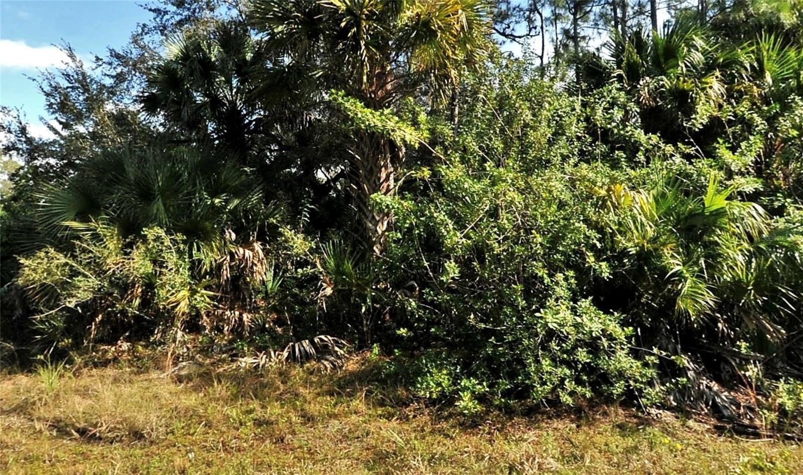 Land in North Port, FL