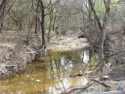 41.67 Acres Prime Texas Land