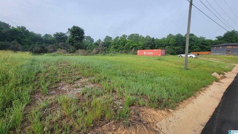 Vacant Lot in Birmingham Neighborhood